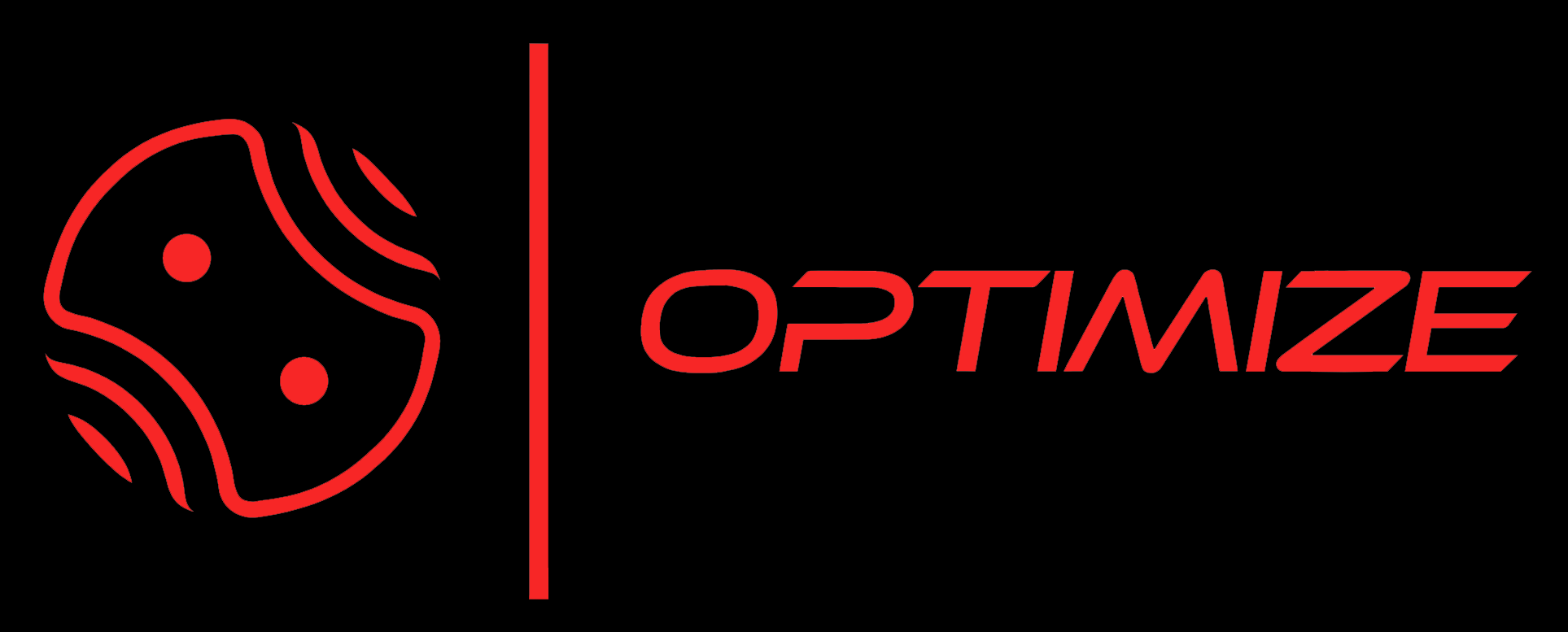 OPTIMIZE